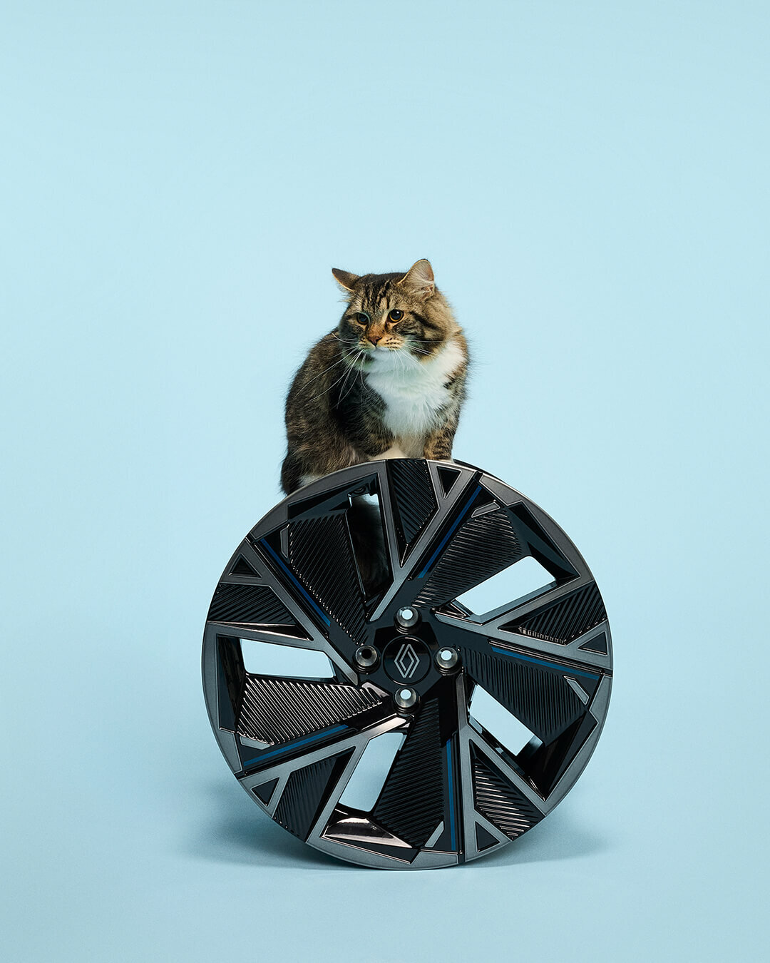 PETS-7