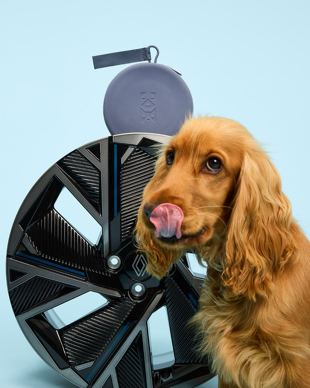 PETS-9