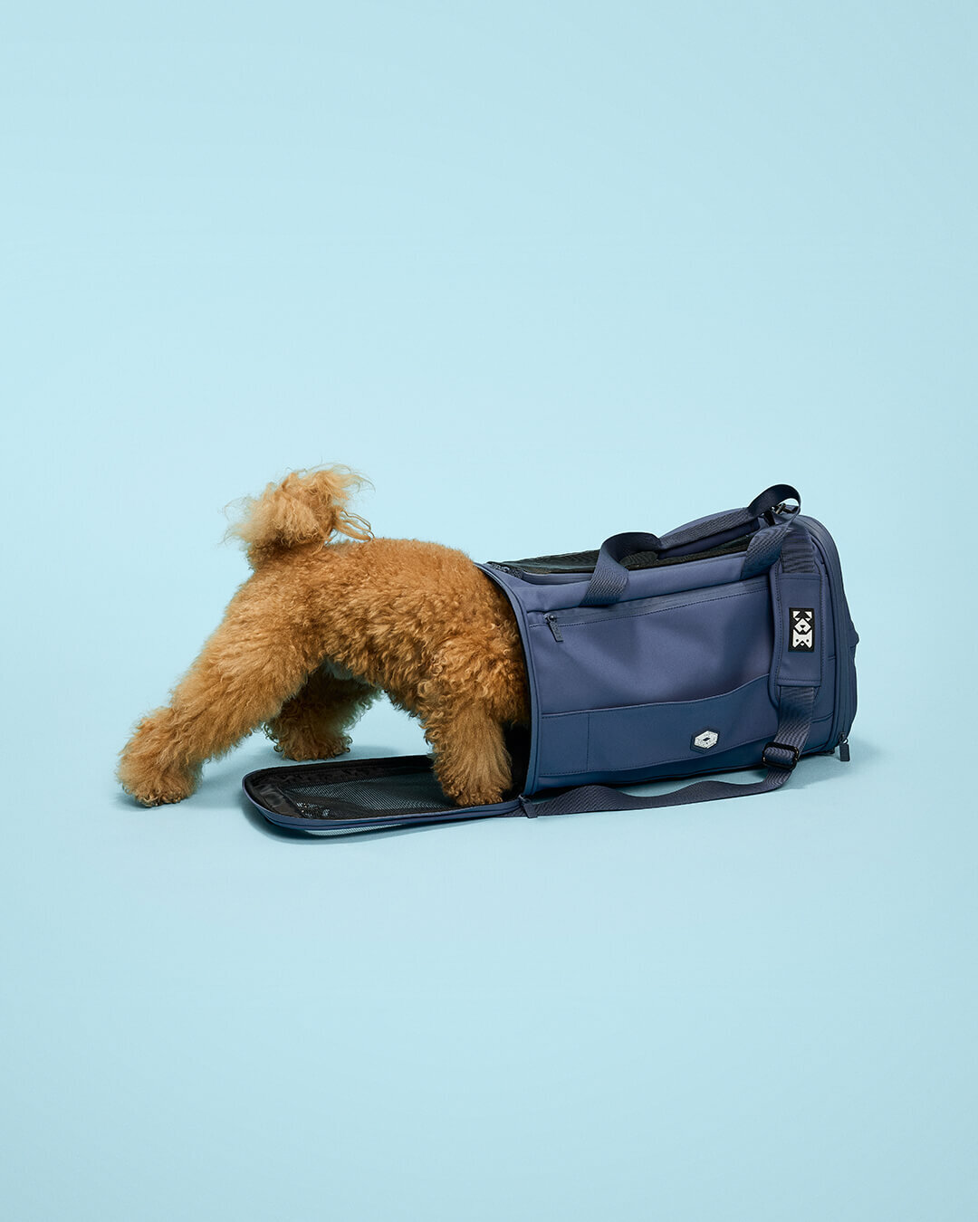 PETS-5
