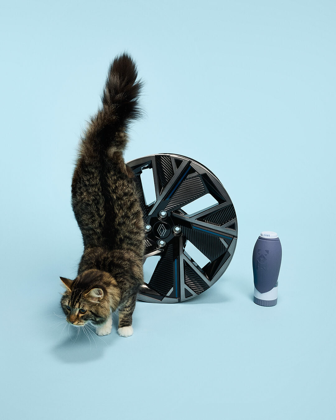 PETS-10