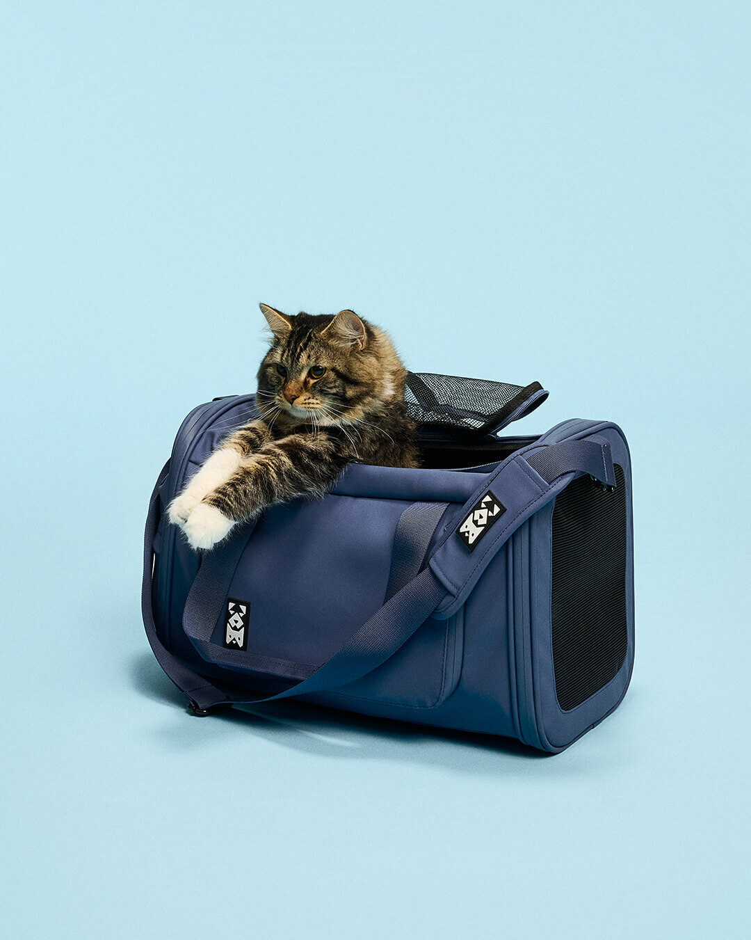 PETS-4
